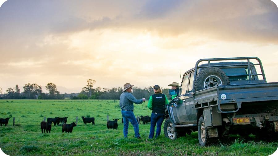 Our Cow Farmers: Aussie Leaders in Sustainable Farming Practice